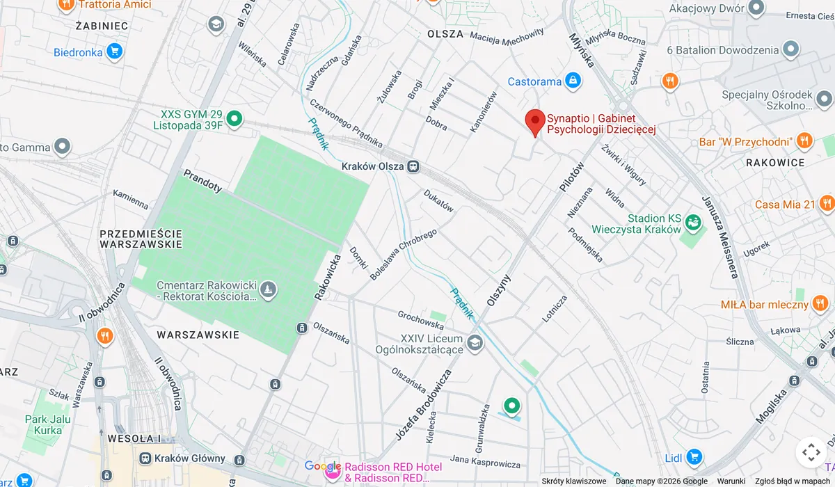 Google map: Synaptio, ul. Henryka Wieniawskiego 60, Kraków, near Castorama, north-east of the main railway station